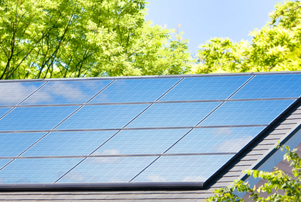 Pick My Solar Partners with Google Sunroof
